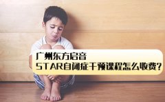 东方启音广州东方启音STAR自闭症干预课程怎么收费？